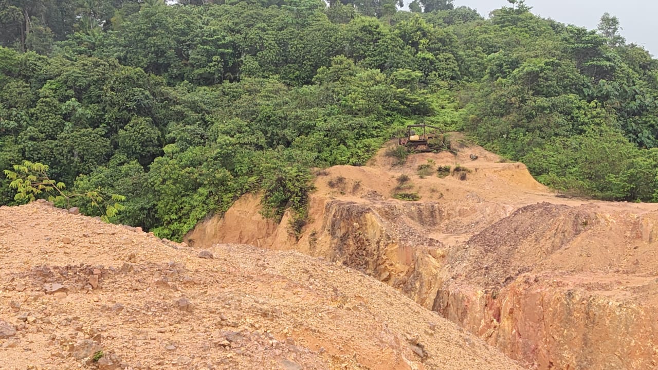 Gold and bauxite mining 33